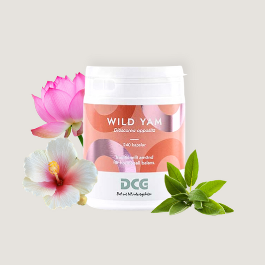 Wild Yam